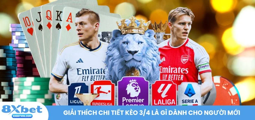 Giải thích chi tiết kèo 3/4 là gì dành cho người mới