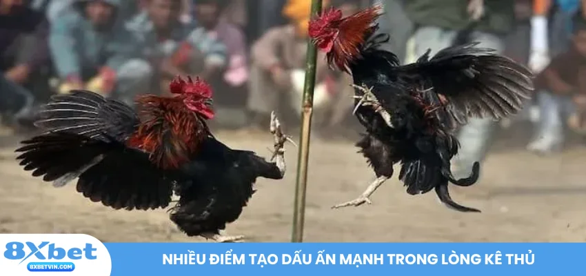 Nhiều điểm tạo dấu ấn mạnh trong lòng kê thủ